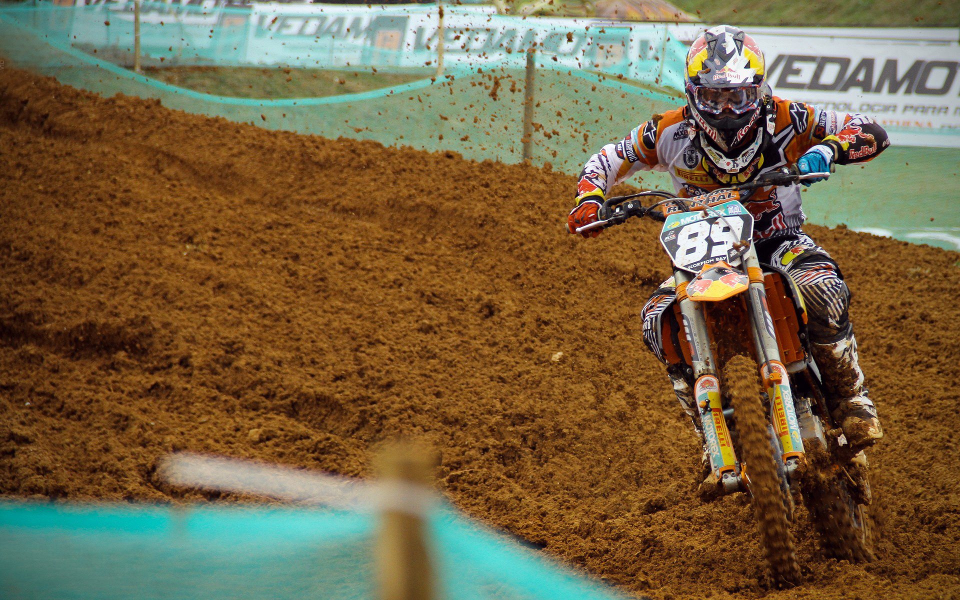 布莱顿客场惊喜取分，赛季表现亮眼，布莱顿首发