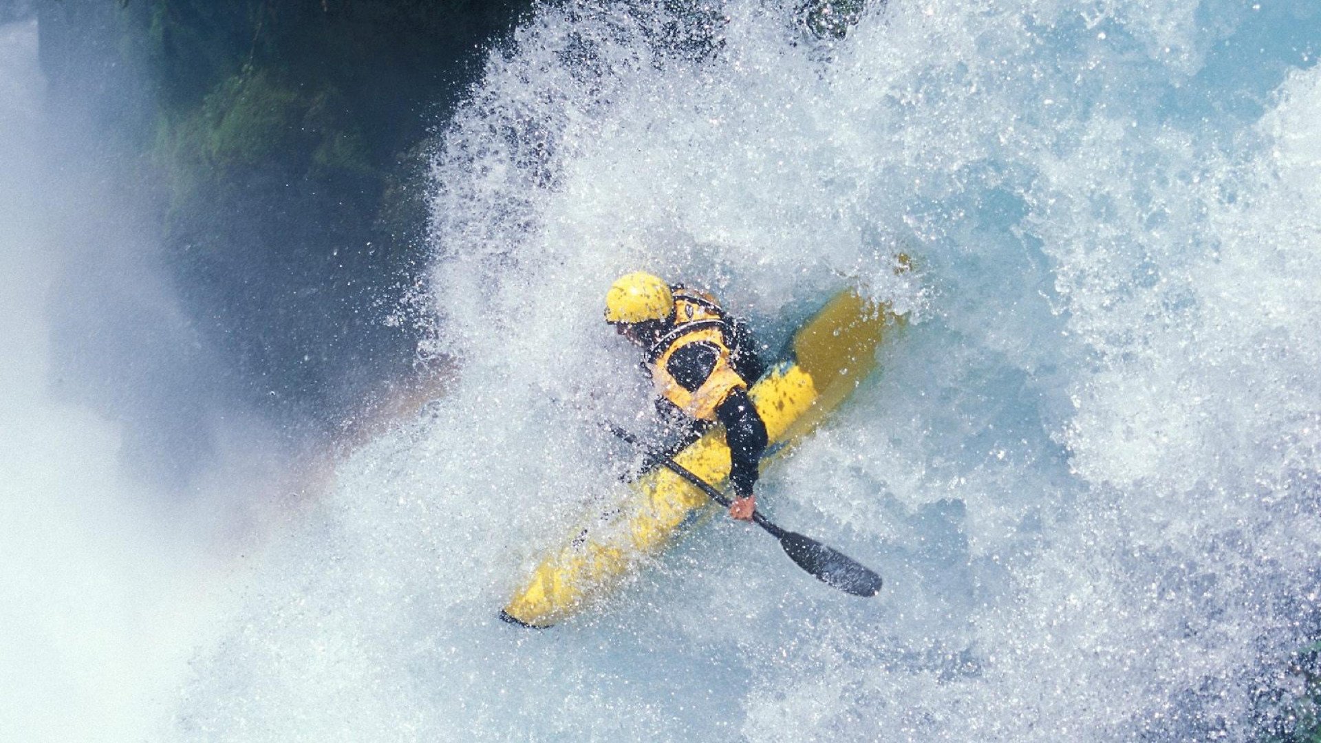 德国马术协会举办国际马术科技大会，推动行业技术交流与合作。